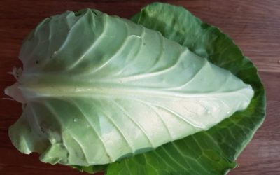 Voordelen en nadelen van vegetarisch en veganistisch eten